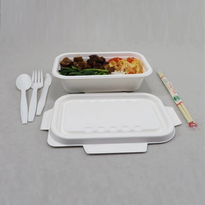 1000 ml Bagasse Food Container