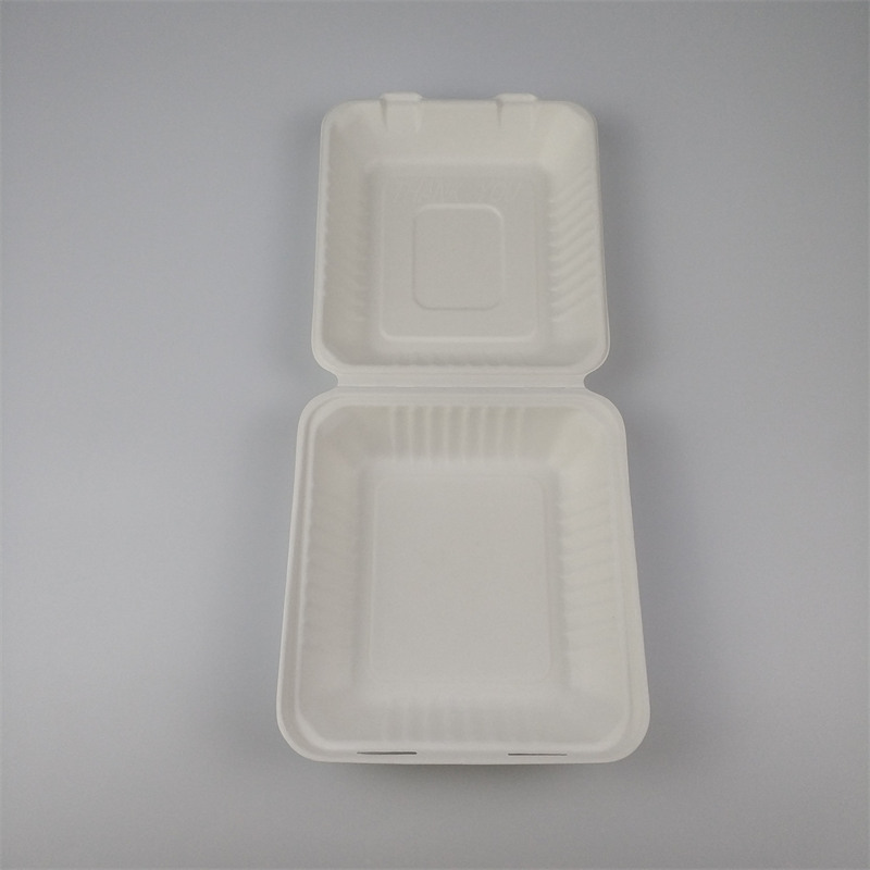 cukrová třtina bagasse to go box